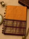 Kanchi cotton
